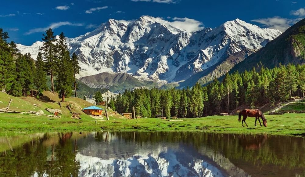Minimarg Astore Travel Guide with Top Hotels, Camping & Activities