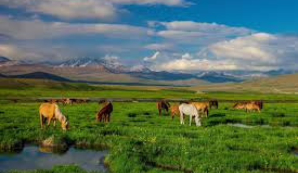Deosai National Park: The Land of Giants