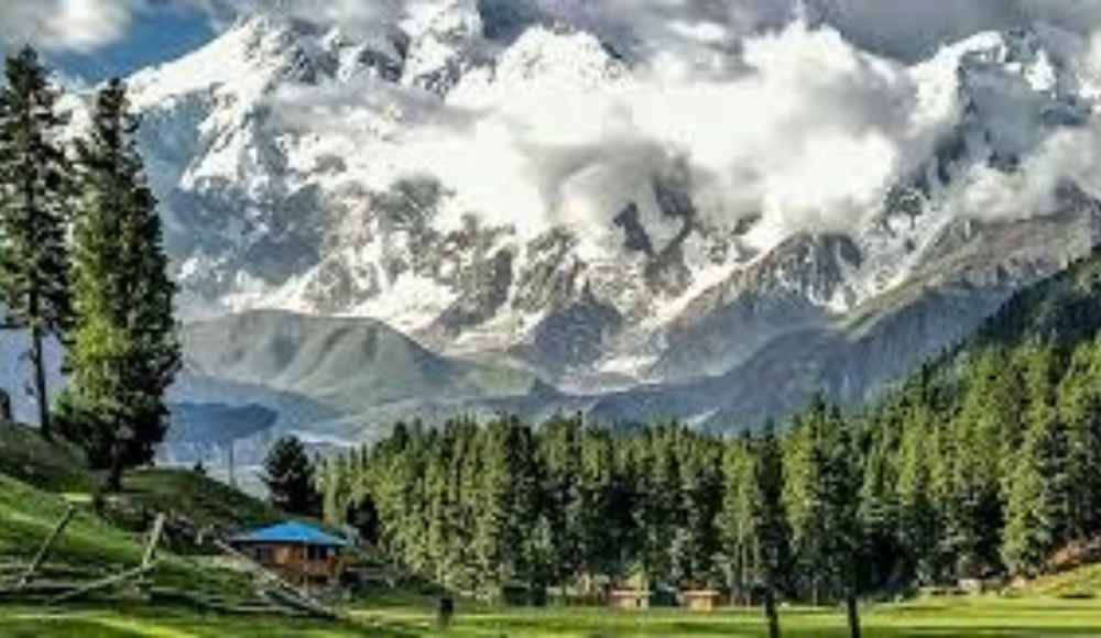 Fairy Meadows: Nature's Masterpiece at Nanga Parbat's Feet