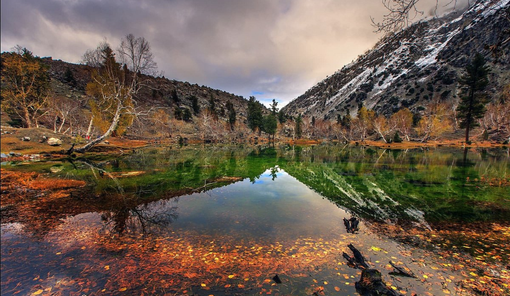 Naltar Valley: Pakistan's Colorful Wonder
