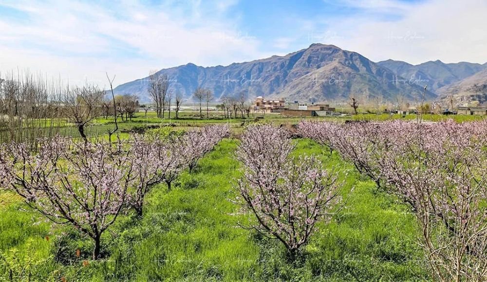 Spring in Swat Kalam (March to May)