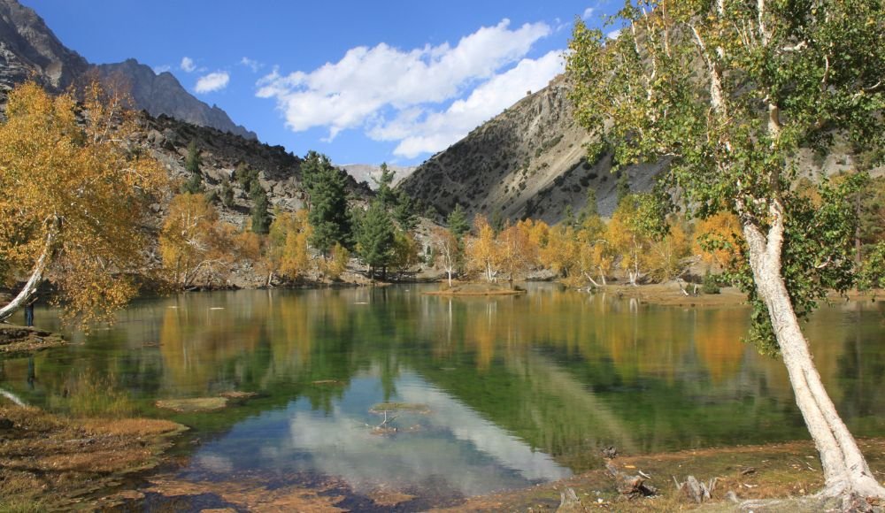 Ultimate Guide to Naltar Valley Attractions, Weather, Hotels & Travel Tips